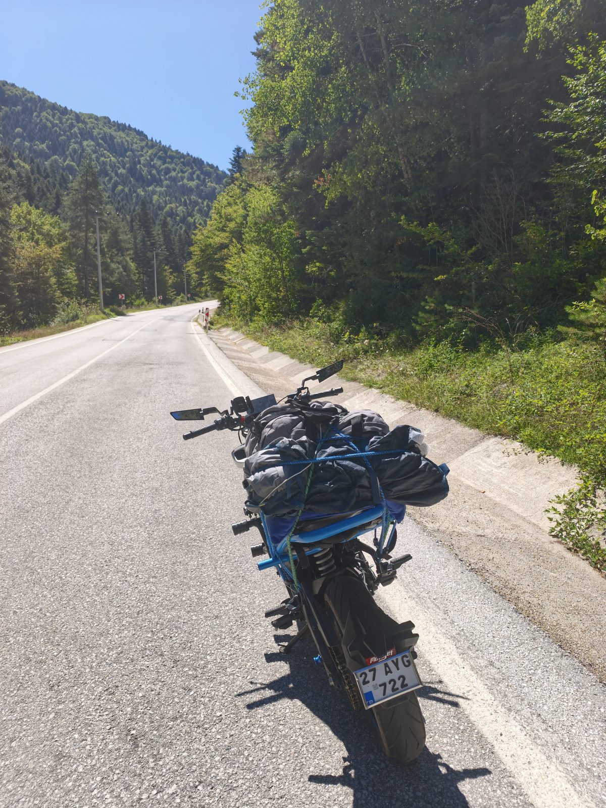Bolu yolunda, iki yanı ormanla çevrili yol